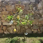 Вилла Privata Lux Con Piscina San Teodoro