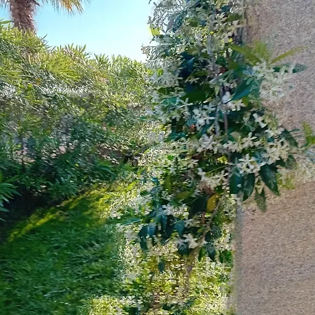 Privata Lux Con Piscina San Teodoro *