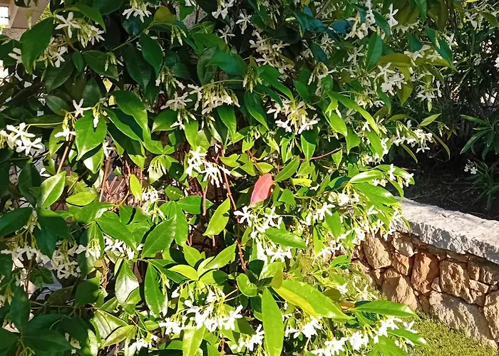 Privata Lux Con Piscina San Teodoro بورتو أوتيولو