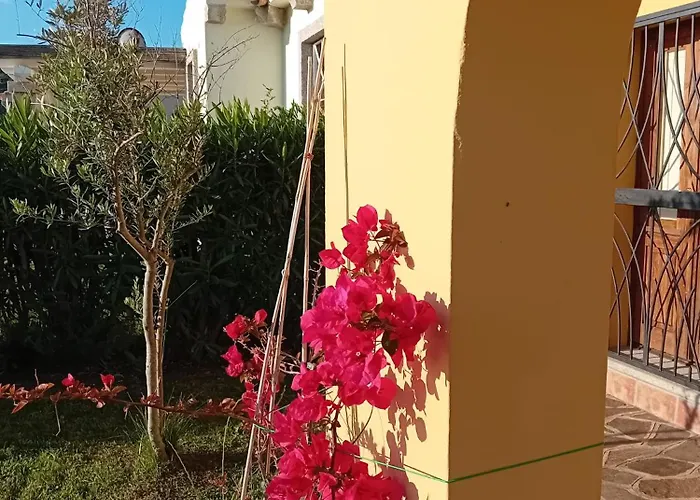 Privata Lux Con Piscina San Teodoro *