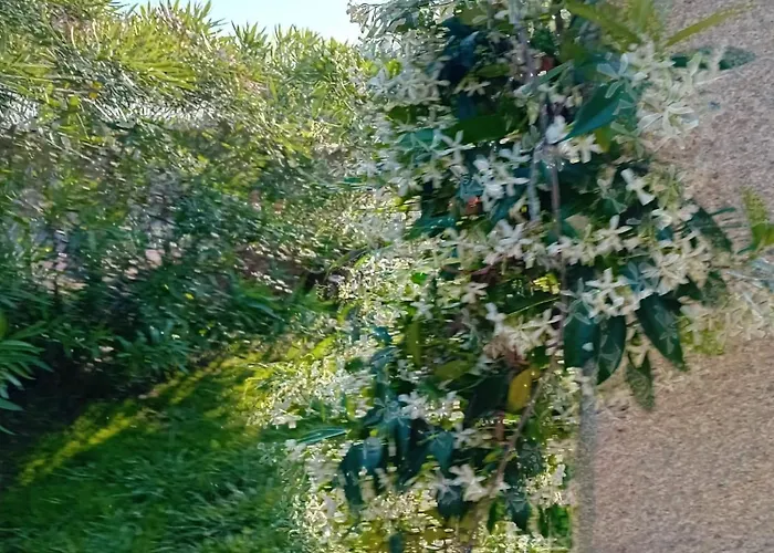 Privata Lux Con Piscina San Teodoro *