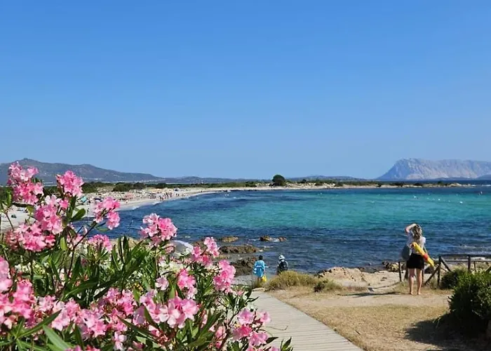 Privata Lux Con Piscina San Teodoro