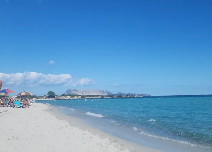 Privata Lux Con Piscina San Teodoro