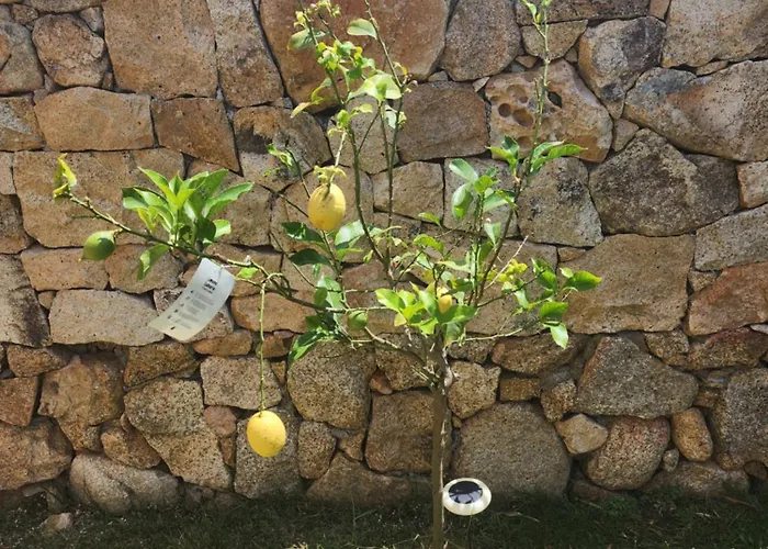 فيلة Privata Lux Con Piscina San Teodoro